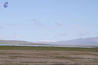 August 05 2011