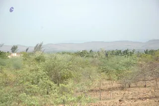 1978 - Tiruvannamalai - InnerGirivala