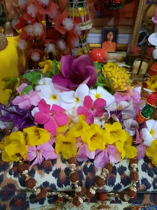 KAILASA SAN FERNANDO, TRINIDAD & TOBAGO on 4/18/2022