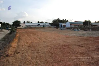 November 20 2008