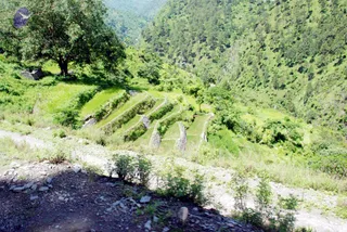 July 01 2008