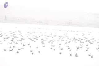 February 13 2013