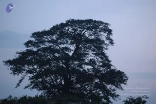 September 29 2006