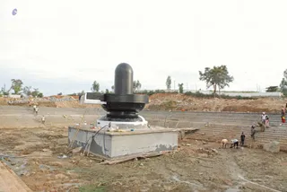 November 19 2008