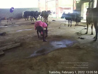 February 01 2022