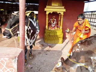 Feb 8 2022 sripuram