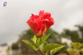 September 01 2014
