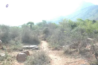 1978 - Tiruvannamalai - InnerGirivala