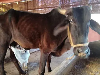 Jan 20 2022 sripuram