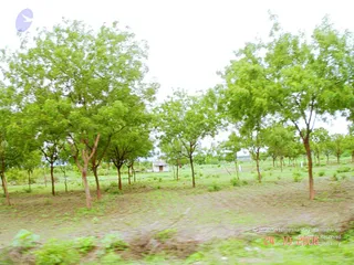 October 24 2006