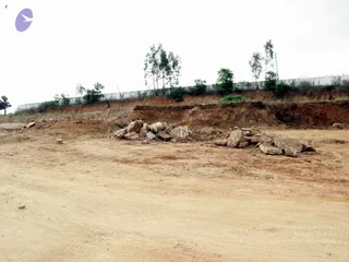 Aadheenam Construction 2009