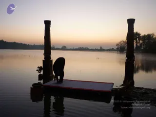 Nithyananda Yoga Poses
