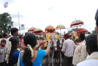 July 23 2009