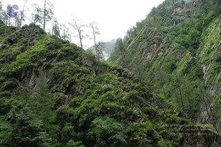 July 08 2008