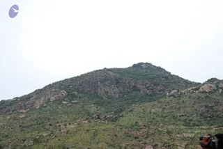 August 02 2008