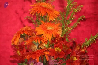 September 03 2012
