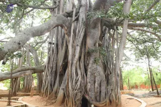 September 30 2013