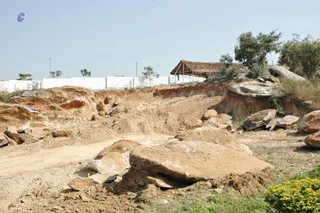 February 19 2008