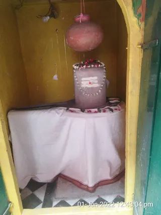 KASHI SARVAJNAPEETAM on 6/1/2022