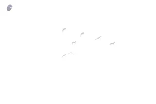 January 03 2016