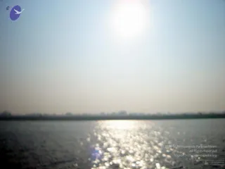 January 06 2006