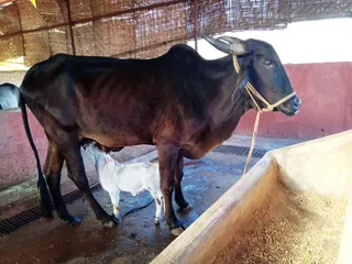 Jan 18 2022 sripuram