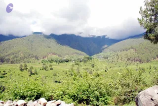 July 01 2008