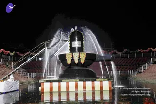 November 22 2010