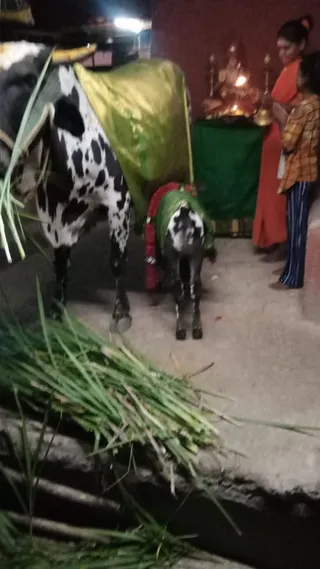 December 23 2022 sripuram