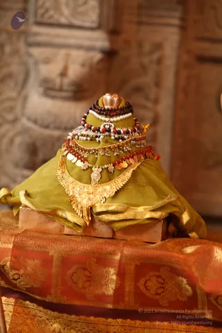 IMG 0790.jpg