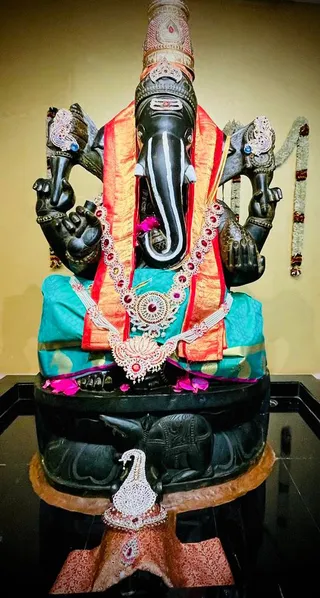 KAILASA HOUSTON, USA on 5/18/2022