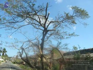 January 04 2012