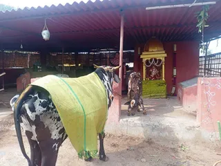 Jan 17 2022 sripuram