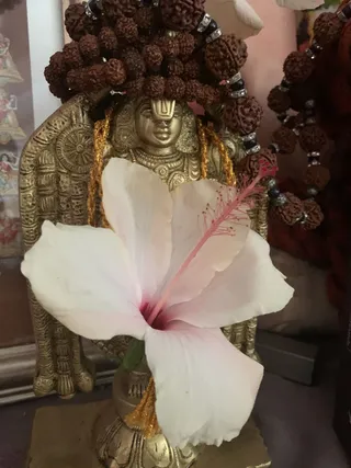KAILASA-LATIN-AMERICA-2021-07-18-1SulALwD3VWppX4hUW7bbnYo16tfMPlgA.jpg