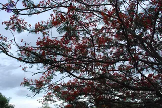 August 01 2008