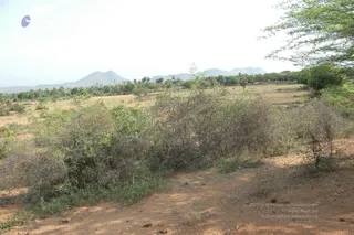 1978 - Tiruvannamalai - InnerGirivala