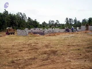 2005 - View-of-Ananda-Sabha-Construction