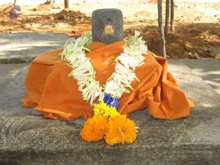 February 23 2008