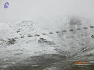 August 04 2011