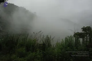 July 08 2008