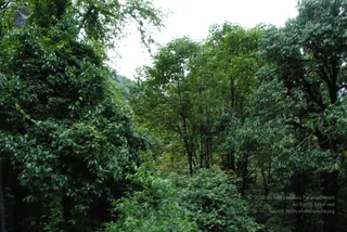 July 07 2008