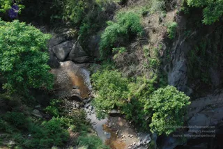 July 10 2008