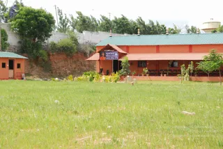July 19 2010