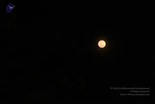 May 10 2017