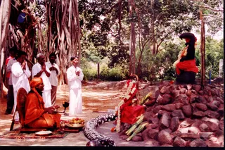 2004 - sacred collections uncategorised