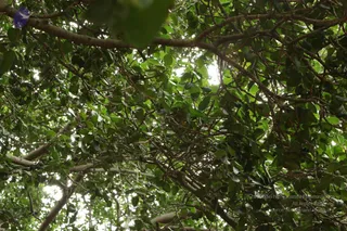 September 05 2009