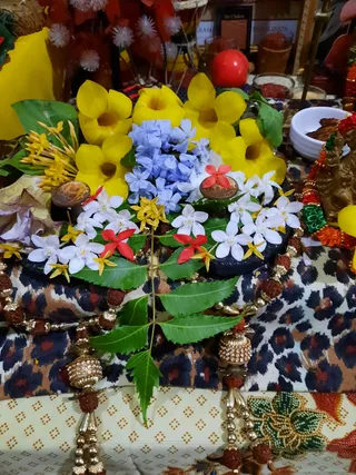 Photo 9919173