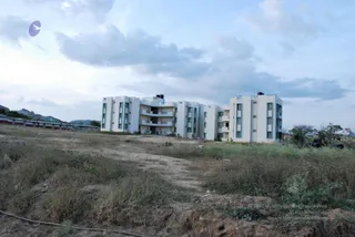 November 20 2008