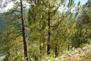 July 02 2008