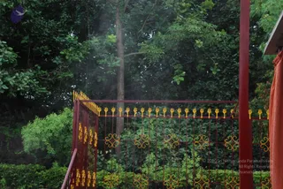 July 11 2010
